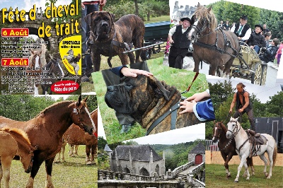 des contes de Lola - Le cheval du pauvre s'invite à la fête !