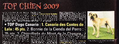 des contes de Lola - Canario Top DOGO CANARIO 2009